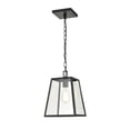 thumbnail image 3 of 8011-PBZ Millennium Lighting Grant - 1 Light Outdoor Pendant-15 Inches Tall and 9 Inches Wide-Powder Coat Bronze Finish, 3 of 5