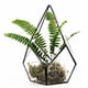 thumbnail image 5 of Maceta de Terrario geométrico BLESIY Negro, 5 of 7