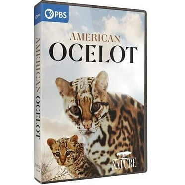 NATURE: American Ocelot (DVD), PBS (Direct), Documentary