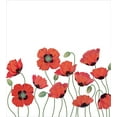 thumbnail image 3 of Ambesonne Floral Duvet Cover Sets, Natural Poppy Garden, 2-King, Orange Green, 3 of 3