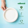 thumbnail image 3 of Platos de papel desechables Caboo Bamboo, 25 cm, paquete de 125, 3 of 9