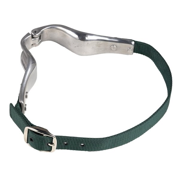Shires - Correa de Mordura para Establo para Caballos de Nylon (Plateado, Verde Mar)