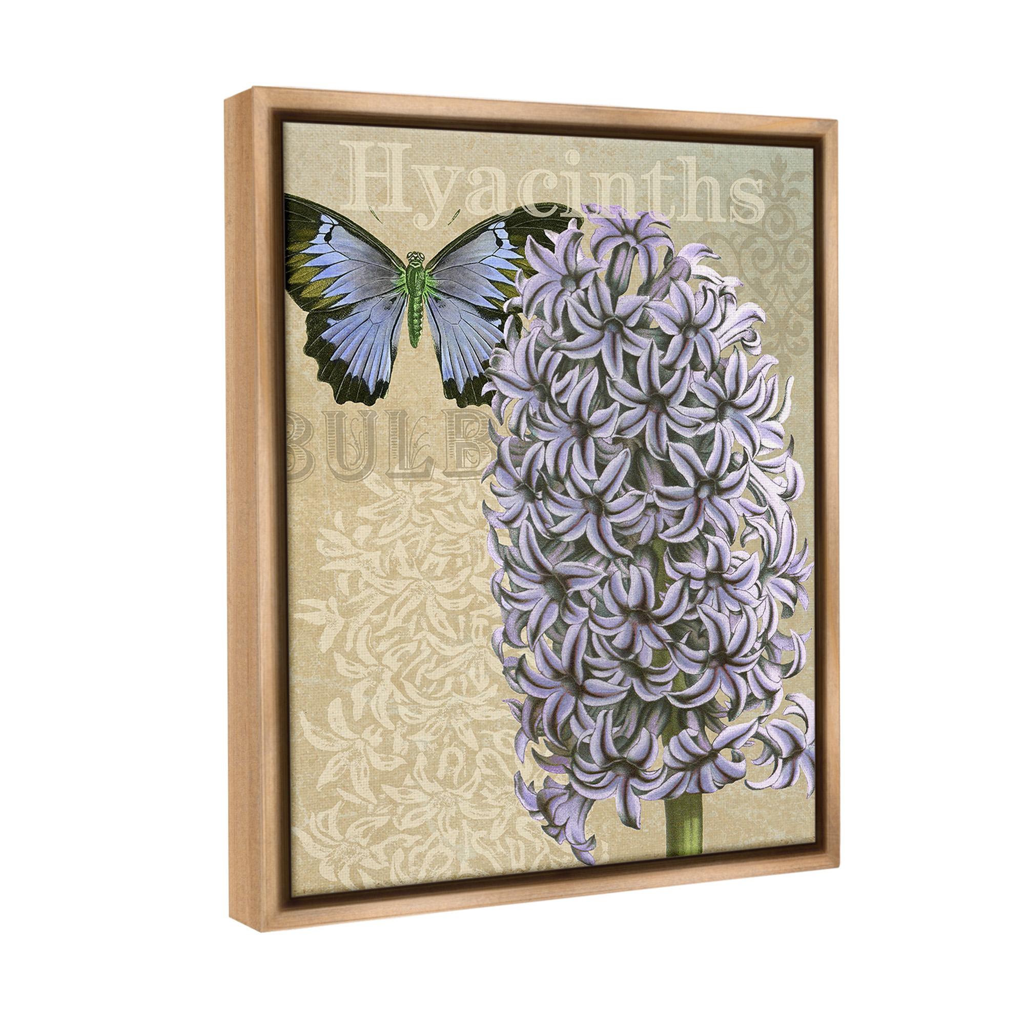 Stupell Industries Hyacinth Pattern & Butterfly Botanical & Floral Painting Brown Floater Framed Canvas Art Print Wall Art, 17 x 21