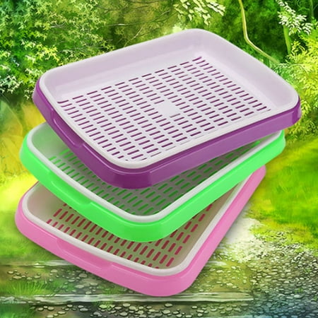 FRCOLOR Green Sprouter Tray PP Grower for Planting Multiple Seeds with Storage Function 35x26x5cm