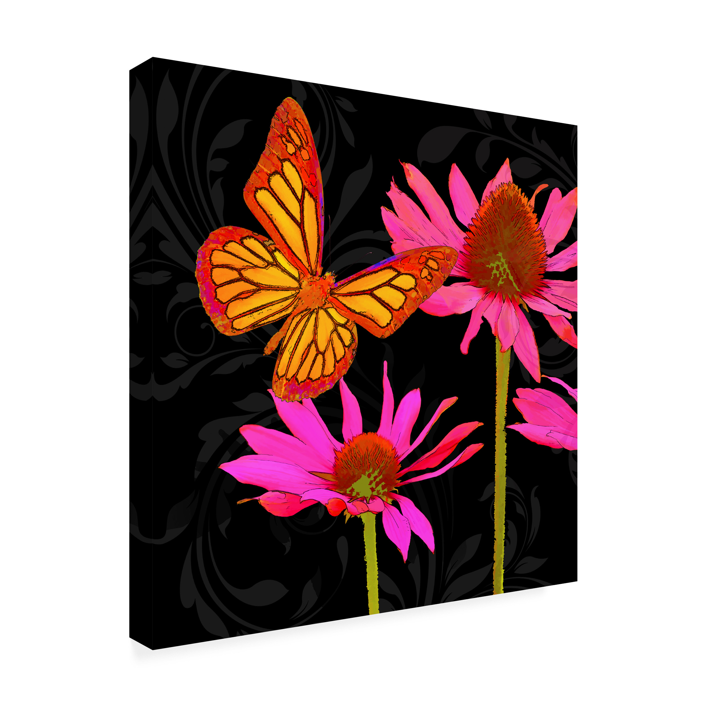 Trademark Fine Art 'Color Pop II' Canvas Art by Tina Lavoie