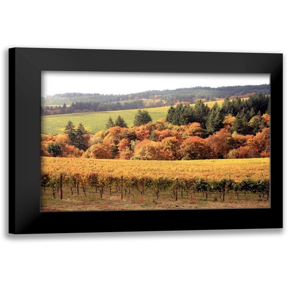 Love, Maureen 24x17 Black Modern Framed Museum Art Print Titled - Fall in Wine Country I