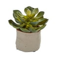 thumbnail image 6 of Nearly Natural Mixed Succulent Artificial Plant (Set of 4), 6 of 12