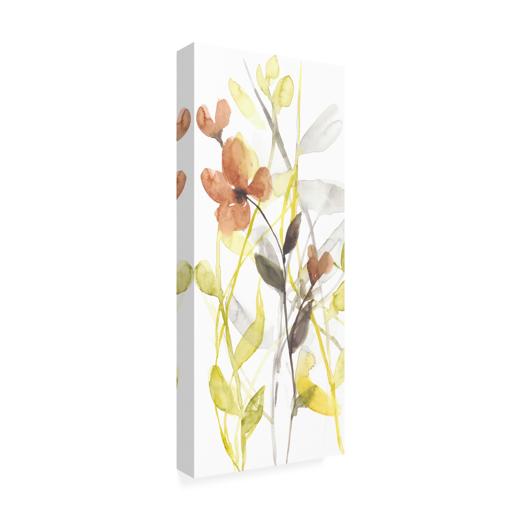 Canvas Wall Art - Jennifer Goldberger 'Flowers of the Earth I' Wall Art for Living Room, Bedroom, or Office Décor by Trademark Fine Art - 20 x 47 Inches