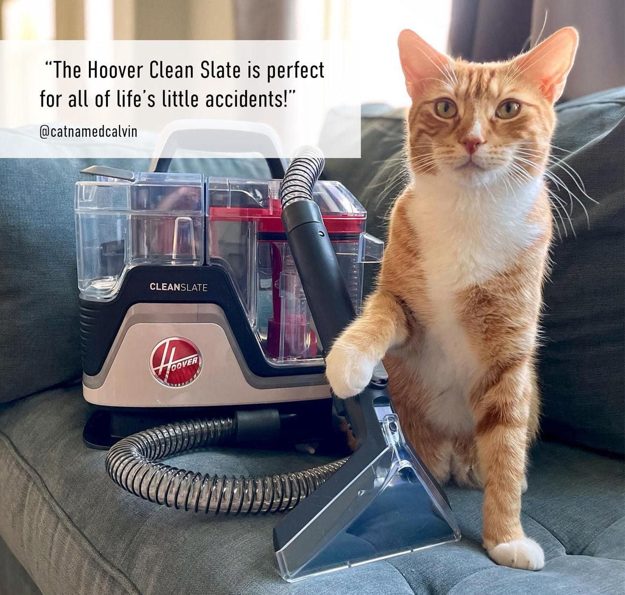 Hoover Cleanslate Pet Carpet & Upholstery Spot Cleaner