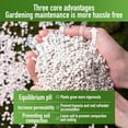 thumbnail image 5 of 250g Natural Polished Pebbles,White Perlite for Pot,Succulent Cactus Planters Pebbles,Small River Rocks,QZS Garden Landscaping Pebbles,for Home Decoration Vases Filling Gardening, 5 of 6