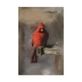 thumbnail image 1 of Trademark Fine Art 'Bright Red Cardinal on a Perch' Canvas Art by Lois Bryan, 1 of 1
