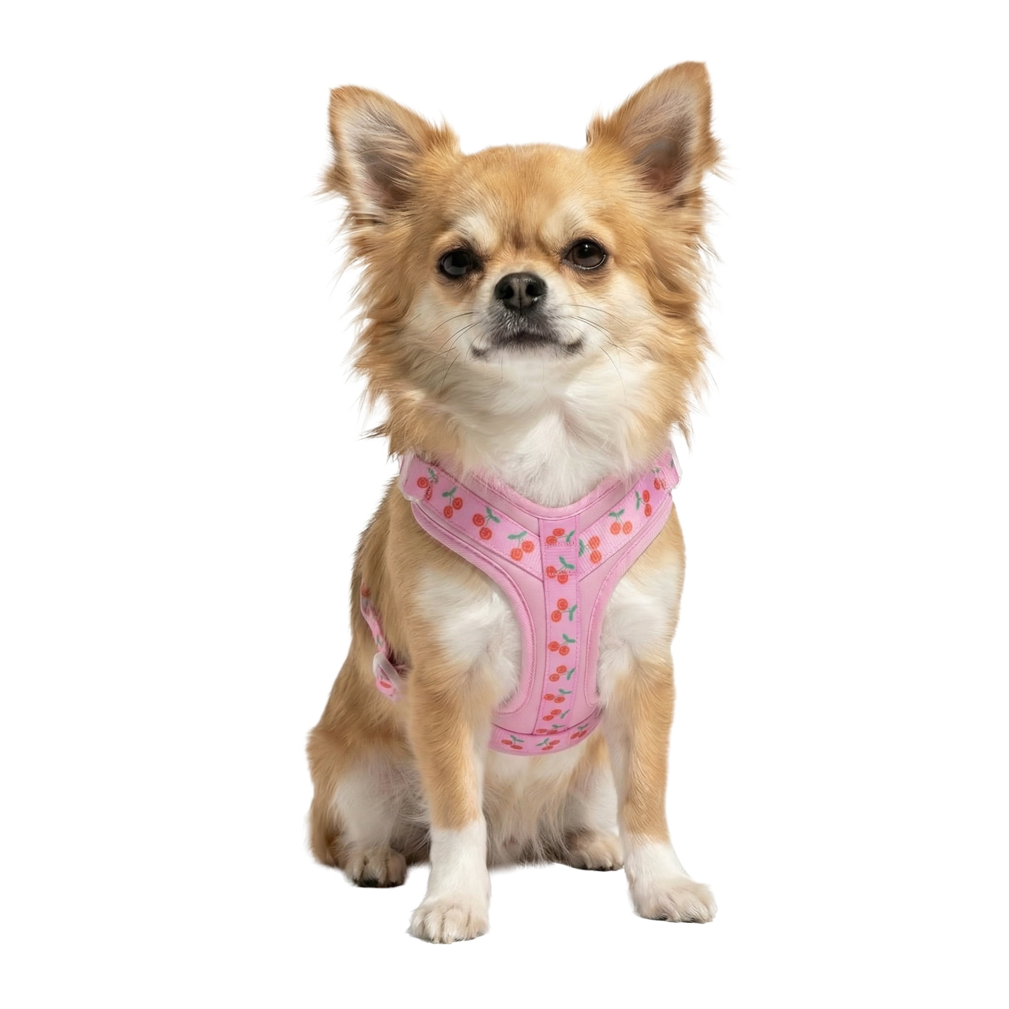 Oodles Cheeky Cherry Adjustable Mesh Dog Walking Harness, Pink, Large