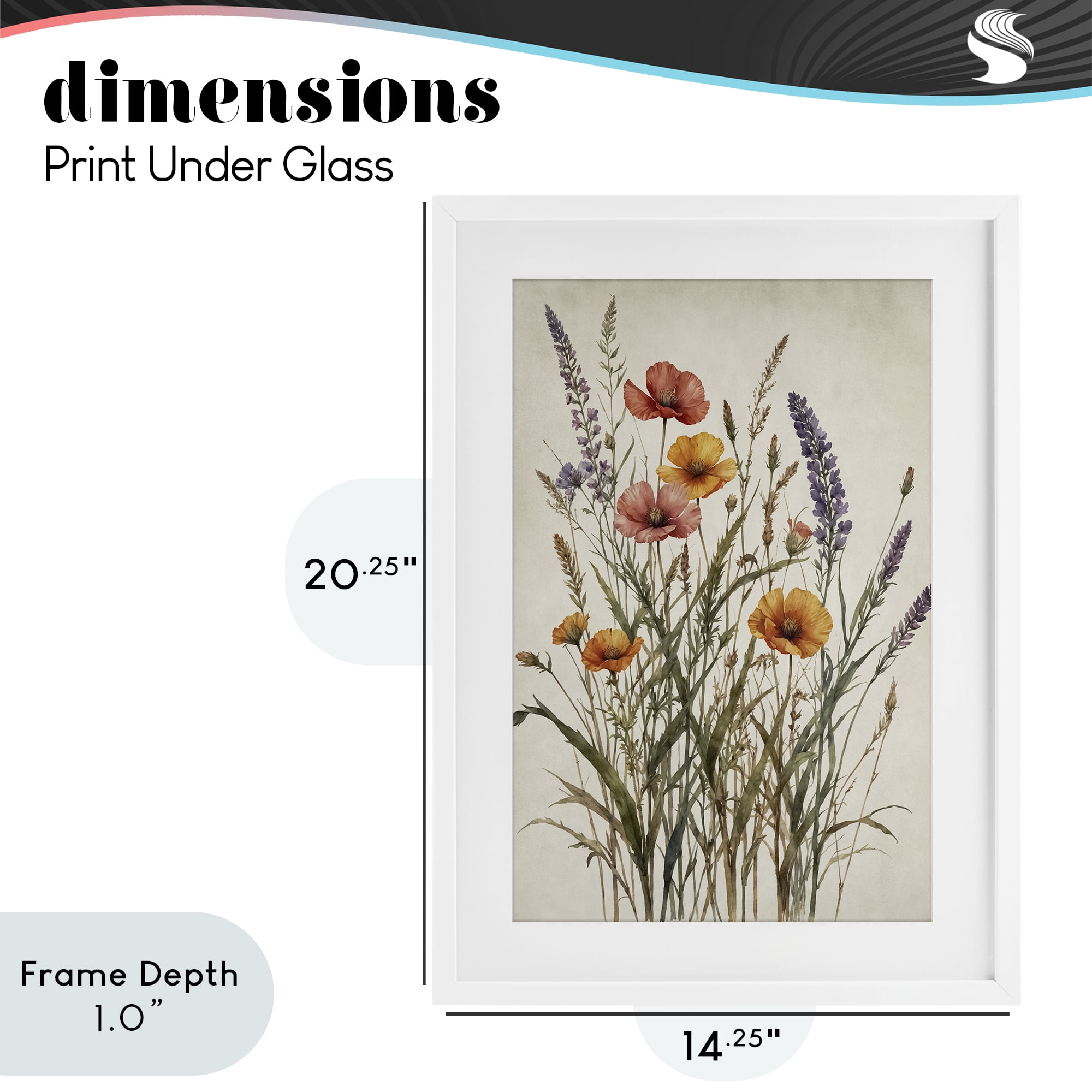 Stupell Industries Vintage Collection of Meadow Botanicals White Framed Print Under Glass, design by Nataly White