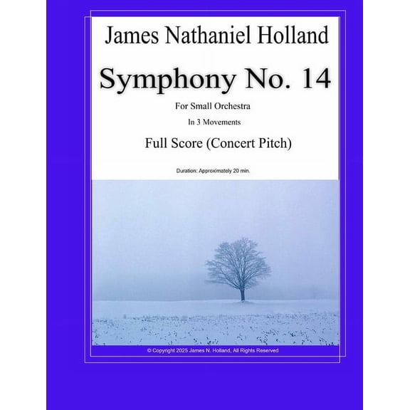 Symphonies for Orchestra of James Nathan Symphony No. 14: for Small Orchestra in 3 Movements Full Score, Book 24, (Paperback)