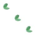 thumbnail image 4 of maskred 2 Pièces Boîte de Rangement de Prothèse Réutilisable Lavable Universel Remplacement Anti-Poussière Résistant à la Déchirure Égouttage Accessoires Vert 3Set, 4 of 6