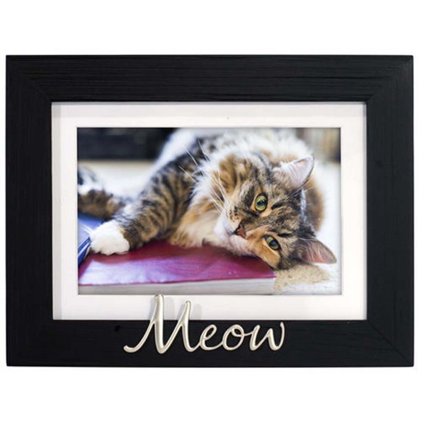 Malden 4x6/5x7 Meow Distressed Black Expressions Frame