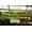 White, variant on WonderBasket - Herb Garden | The Best Way to Hang Potted Plants