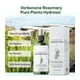 thumbnail image 5 of Xihbxyly Ofertas Prime de hoy Hidrosol de Romero 100ml, 5 of 7
