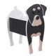 thumbnail image 3 of Animales de dibujos animados lindo perro forma maceta planta jardín decorado labrador maceta Eccomum Ollas, 3 of 7