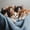 Cat 14, variant on jejeloiu Colorful Cute Flower Zipper Twin Comforter Sets with Fitted Sheet and 2 Pillowcases Kids,Kawaii Pet Animal Cat Zipper Bedding Set,Reversible,4 Pieces