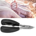 thumbnail image 4 of Dientes de los dientes nipper montones multifuncionales clipper para latechones conejos pequeños animales, 4 of 7