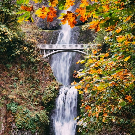 Multnomah Falls Columbia River Autumn at Multnomah Falls, Square, Hood River, Columbia River Gorge, Oregon Print Wall Art By Vincent James ()