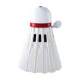 thumbnail image 2 of Briquet Gonflable Style Badminton Réutilisable, 2 of 9