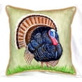 thumbnail image 4 of Betsy Drake ZP512 Wild Turkey Indoor & Outdoor Throw Pillow- 22 x 22 in., 4 of 4