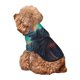 thumbnail image 5 of Fotbe Starry Sky Moon Wolf Leader Sudadera con Estampado para Perros Pequeños – Suéter con Capucha para Mascotas, Tela Suave de Forro Polar con Bolsillo-XX-Large, 5 of 7