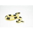 thumbnail image 3 of Snake, Banded Krait, Yellow and Black Snake, Coiled, Rubber Reptile, Educational, Realistic Hand Painted, Figure, Lifelike Model, Figurine, Replica, Gift,       12"      F3590 B492, 3 of 6