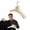 B, variant on Wide Shoulder Coat Hanger for Fur Overcoat, Beige Plastic Household Clothes Hanger with Multi-Function Design for Closet Organization and Heavy Jackets,38cm