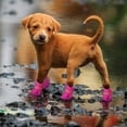 thumbnail image 5 of Zapatos para perros botas de silicona impermeables antideslizantes protectores de lluvia para perros animales pequeños (negro) brillar Electrónica, 5 of 5