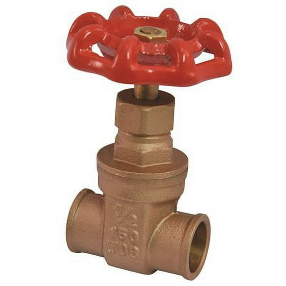 PROPLUS 242134 Gate Valve, 1"
