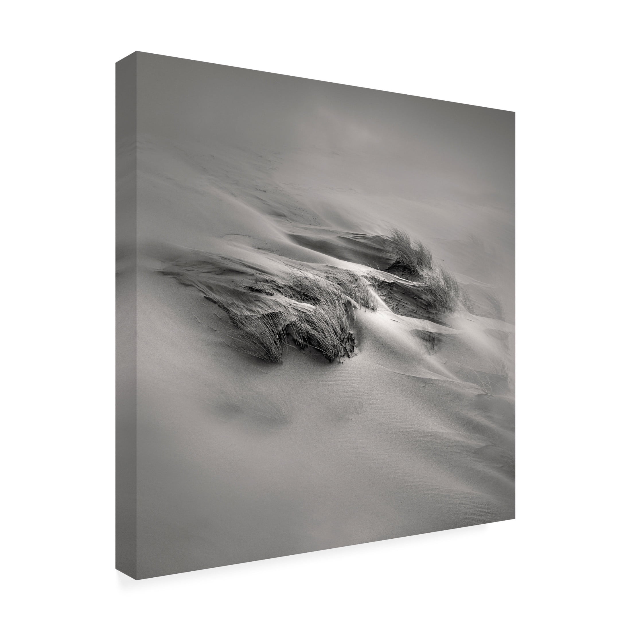 Trademark Fine Art Jean Luc BILLET  Sandwind Vent de Sable Canvas Wall Art