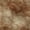 Paprika, variant on Addison Rugs Mayfield Premium Machine Washable Transitional Casual Turquoise Rectangle Rug, 10' x 14'
