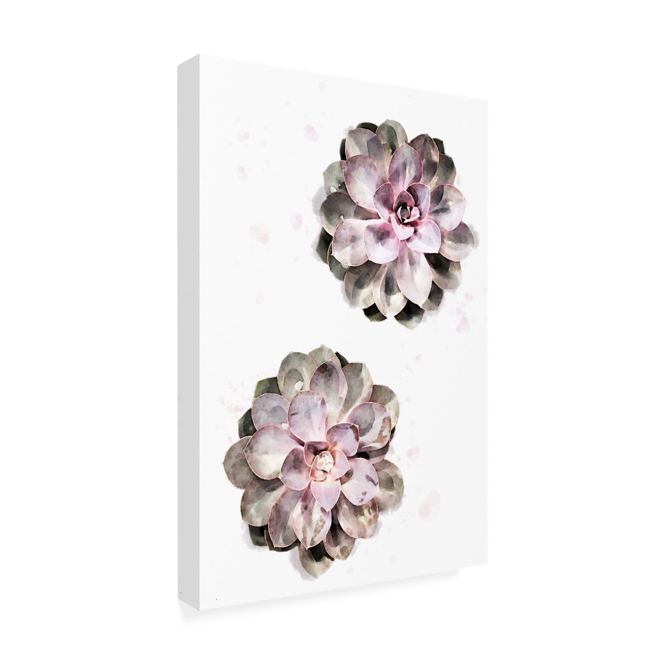 Canvas Wall Art - Pictufy Studio Ii 'Succulent 02' Wall Art for Living Room, Bedroom, or Office Décor by Trademark Fine Art - 12 x 19 Inches