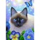 thumbnail image 1 of Diamond Drill Cartoon Kitten Kits de pintura de bricolaje 5D Decoración de pared redonda completa (B5408) Hugtrwg Para estrenar, 1 of 9