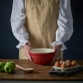 thumbnail image 3 of Mason Cash In the Forest S30 (1.25 Qt) Embossed Red Hedgehog Mixing Bowls | Set of 2, 3 of 4