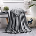 thumbnail image 1 of Gray Solid Micro Plush Flannel Throw, 40” x 28”, 1 of 2