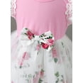 thumbnail image 6 of NZRVAWS Newborn Baby Girl Dress 6 Months Girls Round Neck Fly Sleeve Floral Gauzy Dress 9 Months Baby Girl Summer Clothes, 6 of 7