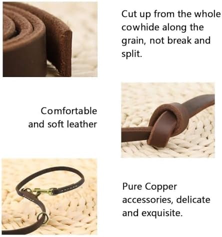 Multi Function 8ft Leather Dog Leash, Genuine Leather Leash Hands Free Dog Training Leashes for Medium and Large Dogs (8 Foot*5/8 inch, Brown)