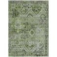 thumbnail image 2 of Addison Rugs Chantille Indoor/Outdoor Traditional Global Aloe Washable Rectangle Rug, 8' x 10', 2 of 6