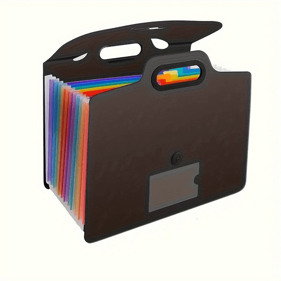 Expandable Folder with Handle, 13 Pockets File Folder for A4 Size Documents, Portable Accordion File with Rainbow Divider and Elastic String Closure for Office Business Home, Black