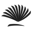 thumbnail image 1 of koolsoo 1 Dozen 3" /4" /5" Feathers Fletches Fletchings Various Colour for Black, 1 of 9