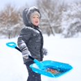 thumbnail image 2 of Bluey Mini Snow Shovel, 2 of 5