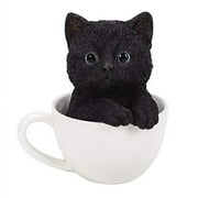 Adorable Pet Pals Glass Eyes Black Kitten Cat in The Cup