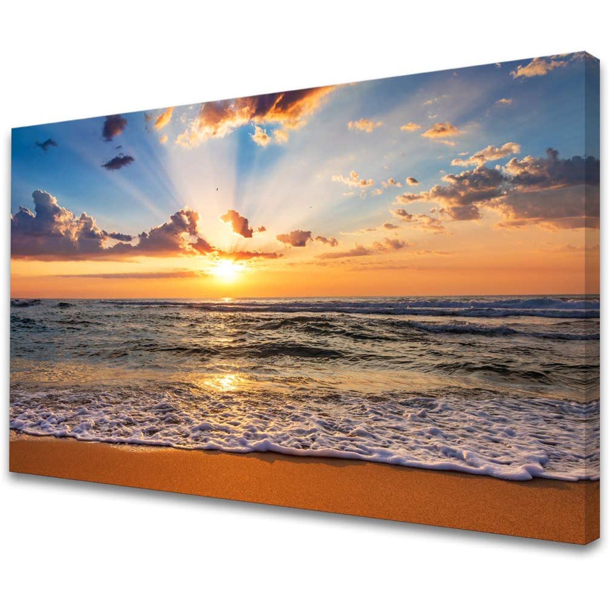 オーシャンパネル BIG size ‼️-