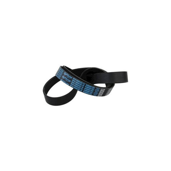 DAYCO PRODUCTS LLC Supercharger Belt ZL1 Camaro 12-15