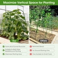 thumbnail image 6 of Cucumber Trellis for Raised Bed, 47.2inx 21.6inx 47.2in Garden Arch Trellis for Climbing Plants Outdoor, Metal Garden Trellis, Cucumber Trellis for Tomato, Bean, Pea, Grape, Plant, Squash, 6 of 9