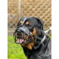 thumbnail image 3 of STRONG Wire Metal muzzle Basket Dog Muzzle Rottweiler,Mastiff Golden Retriever & other (R1, Black/Black Leather), 3 of 5